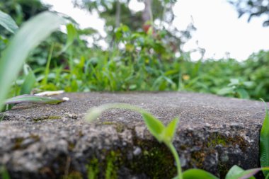Beton taşlı manzara fotoğrafı. yeşil gras ile beton arkaplan