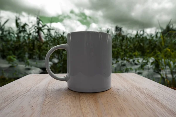 Maíz Vista Granja Con Taza Frente Maqueta Taza Con Fondo — Foto de Stock