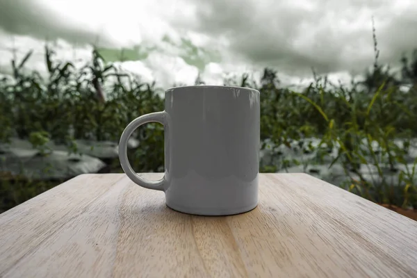 Vista Fazenda Milho Com Caneca Frente Caneca Mockup Com Cenário — Fotografia de Stock