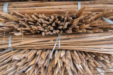 Bambu parçaları yığını. Bambu kesimi sırt gurubu