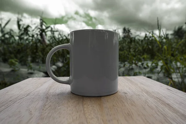 Maíz Vista Granja Con Taza Frente Maqueta Taza Con Fondo — Foto de Stock