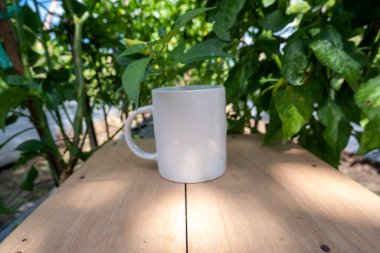 Beyaz kupa doğa arka planında. Beyaz kupa alaycısı.