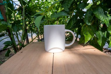 Beyaz kupa doğa arka planında. Beyaz kupa alaycısı.