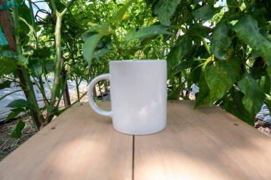 Beyaz kupa doğa arka planında. Beyaz kupa alaycısı.