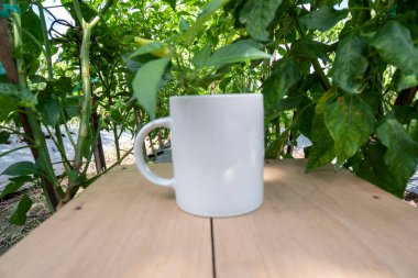 Beyaz kupa doğa arka planında. Beyaz kupa alaycısı.