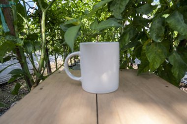 Beyaz kupa doğa arka planında. Beyaz kupa alaycısı.