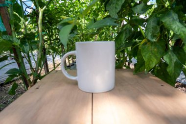 Beyaz kupa doğa arka planında. Beyaz kupa alaycısı.