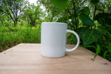 Beyaz kupa doğa arka planında. Beyaz kupa alaycısı.