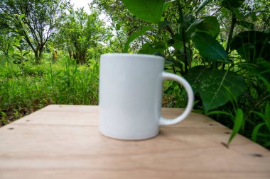 Beyaz kupa doğa arka planında. Beyaz kupa alaycısı.