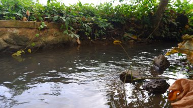 Tarım ve bitki oranı için sulama nehri