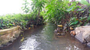 Tarım ve bitki oranı için sulama nehri