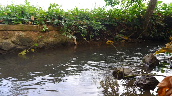 Rio Irrigação Para Agricultura Plantação — Fotografia de Stock