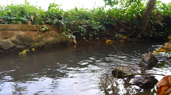 Irrigation River Agriculture Plantatio — Stock Photo, Image