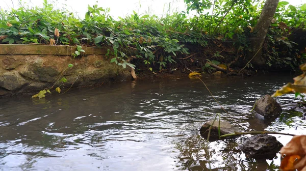 Irrigation River Agriculture Plantatio — Stock Photo, Image