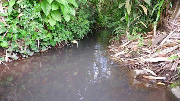 Rio Irrigação Para Agricultura Plantação — Fotografia de Stock