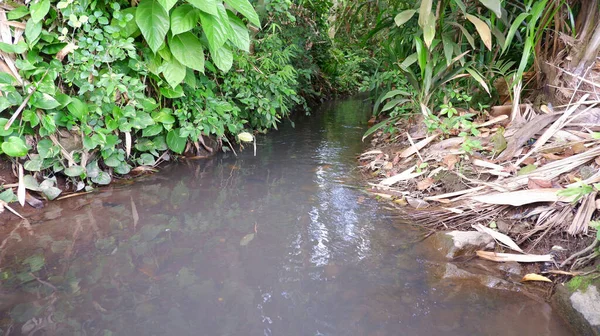 Rio Irrigação Para Agricultura Plantação — Fotografia de Stock