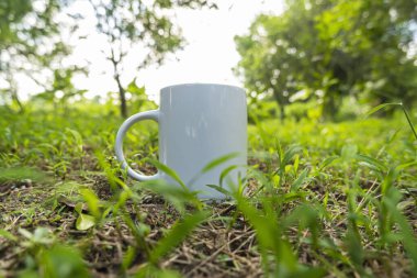 Bahçesinde yeşil çimenler olan kupa modeli.