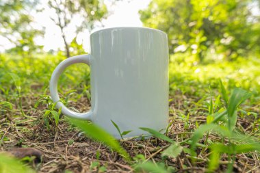 Bahçesinde yeşil çimenler olan kupa modeli.