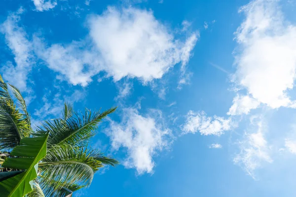 구름의 배경에는 가장자리에 코코넛 나무들도 — 스톡 사진