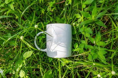 Çimlerin üzerinde beyaz kahve fincanı. Bahçedeki çimlerin kupa maketi. Beyaz kupa arka planda izole edilmiş. Doğal kahve kupası.