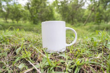Çimlerin üzerinde beyaz kahve fincanı. Bahçedeki çimlerin kupa maketi. Beyaz kupa arka planda izole edilmiş. Doğal kahve kupası.