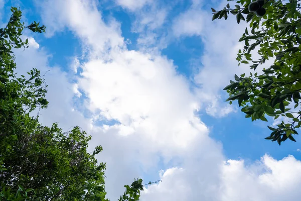 Cielo Azul Fondo Nubes Blancas Cielo Fondo Naranjo Naturaleza Backgroun — Foto de Stock