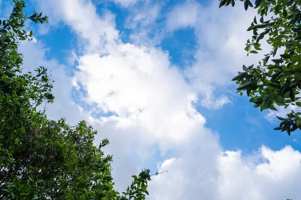 Cielo Azul Fondo Nubes Blancas Cielo Fondo Naranjo Naturaleza Backgroun — Foto de Stock