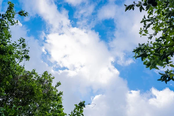 Ciel Bleu Nuages Blancs Fond Ciel Fond Oranger Backgroun Nature — Photo