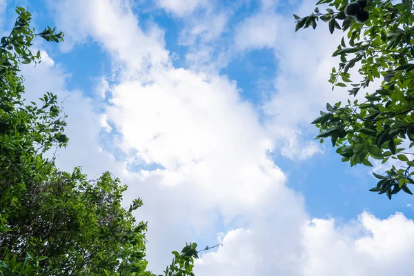 Cielo Azul Fondo Nubes Blancas Cielo Fondo Naranjo Naturaleza Backgroun — Foto de Stock