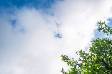 Mavi gökyüzünün arka planı ve beyaz bulutlar da vardır.