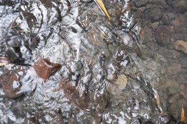 Temiz Nehir Akışı Arkaplanı. Rivers ve Rocks. Doğa Arka Gruplaması