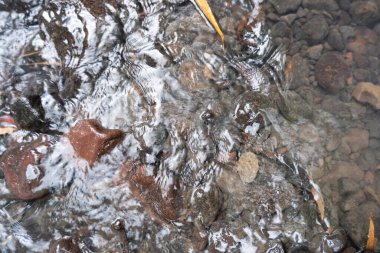 Temiz Nehir Akışı Arkaplanı. Rivers ve Rocks. Doğa Arka Gruplaması