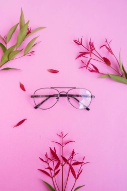 Pastel arka planda şık gözlükler. Pembe Pastel Renk Kağıdı