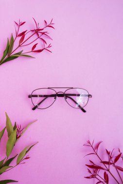 Pastel arka planda şık gözlükler. Pembe Pastel Renk Kağıdı