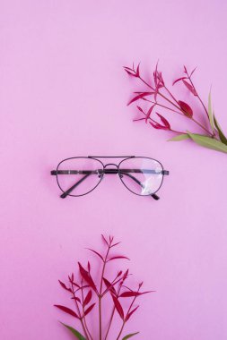 Pastel arka planda şık gözlükler. Pembe Pastel Renk Kağıdı