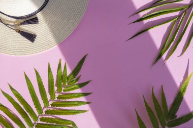 Minimalist yaz tarzı. Pembe pape üzerinde palmiye yaprakları