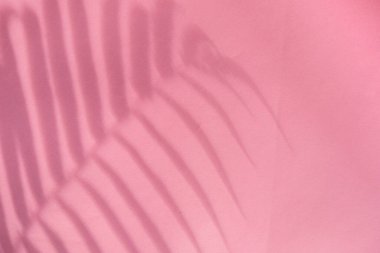 Summer Concept. Fern Leaf Shadow On Easy Red Paper Background