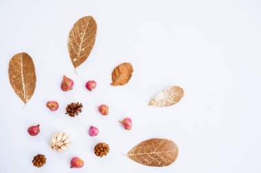Minimalist Kavram. Sarımsak, soğan, kuru yapraklar, beyaz arka planda çam çiçeği. Sonbahar, sonbahar konsepti. Düz konum, üst görünüm, boşluğu kopyala