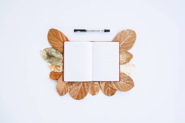 Minimalist Kavram. Beyaz arka planda kuru yapraklar, kitap ve kalem. Sonbahar, sonbahar konsepti. Düz konum, üst görünüm, boşluğu kopyala