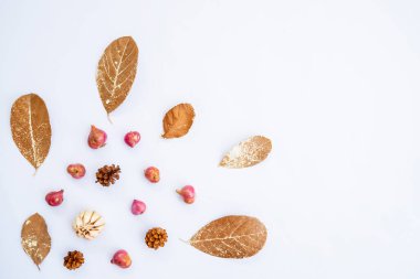 Minimalist Kavram. Sarımsak, soğan, kuru yapraklar, beyaz arka planda çam çiçeği. Sonbahar, sonbahar konsepti. Düz konum, üst görünüm, boşluğu kopyala