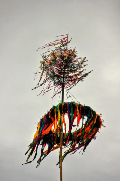 Maibaum — Stockfoto