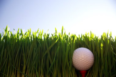 Golf topu