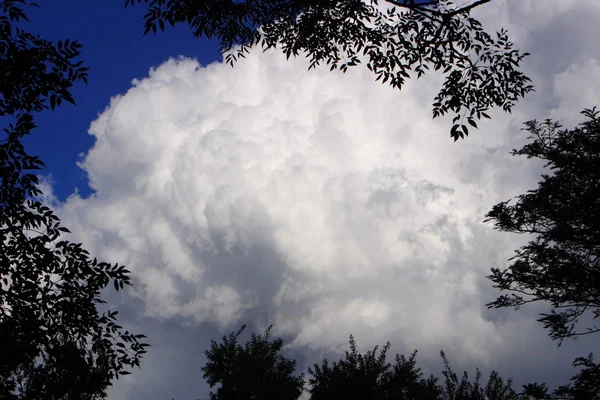 Nubes de tormenta —  Fotos de Stock