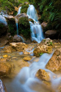 Ormanda hızlı akan şelale tespit edildi. Su kayalık bir uçurumdan derin mavi bir havuza akar..