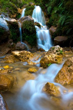 Ormanda hızlı akan şelale tespit edildi. Su kayalık bir uçurumdan derin mavi bir havuza akar..