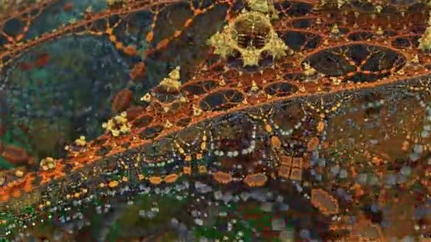 Modern Fractal footage Artwork. Generative art. — Stock Video