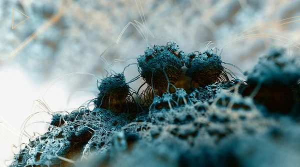 Fraktal yapıları yuvar