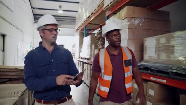 Manager ispezionare pacchi che tengono tablet digitale mentre il lavoratore mostra l'ordine dei pacchetti nel magazzino di fabbrica — Video Stock