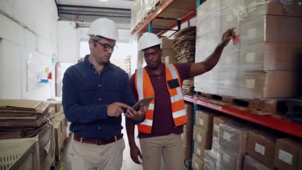 Gerente vestido de forma inteligente inspecionando enquanto o trabalhador aponta para parcelas embaladas em armazém de fábrica — Vídeo de Stock