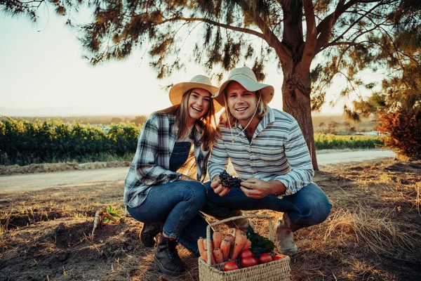 Kaukasiskt par som hukar sig leende medan de plockar färska grönsaker på jordbruksmark vid soluppgången — Stockfoto